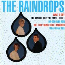 The Raindrops The Kind Of Boy You Cant Forget Year 1963