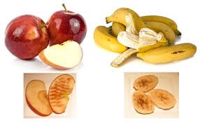 Why Does Fruit Turn Brown Science Project