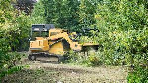 forestry mulching pros cons and costs