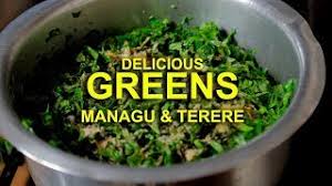 Vegetables are also popular in most european countries. Mboga Kienyeji Kunde And Terere In Milk Traditional Vegetables Jikoni Magic Cute766
