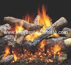 Heat N Glo Gfk 160a Fireplace Blower