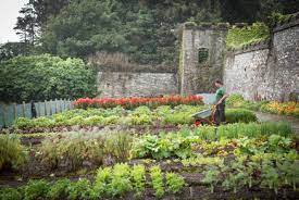 Walled Gardens Provide A Local And
