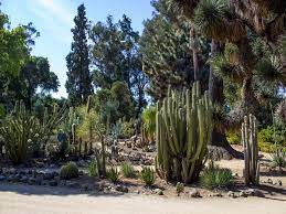 Garden Stanford University