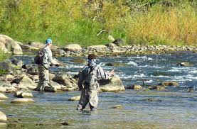 Spotted seatrout, also known as speckled trout, speckled seatrout, and specs, are beautiful saltwater fish that are fun to catch and are excellent on the table. 10 Western Colorado Fly Fishing Spots Colorado Com