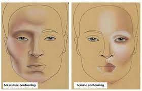 male vs female contouring