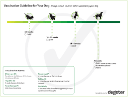 Dog Vaccination Schedule Chart India Pdf Www