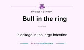 what does bull in the ring mean