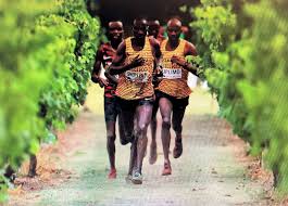 south african athletes impress at world