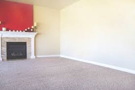 carpet cleaning petaluma ca rugs