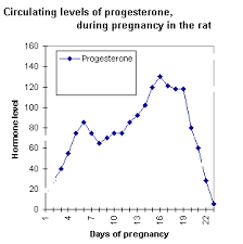80 All Inclusive Progesterone Range In Pregnancy