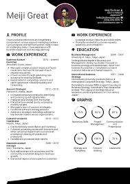 Resume Examples By Real People Business Executive Account