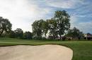 Woods/Pines at Country Club of Jackson in Jackson, Michigan, USA ...