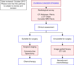 Ovarian Cancer Staging