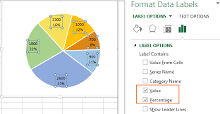 Excel Pie Chart Percentage Bulat