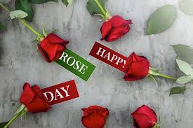 happy rose day images free