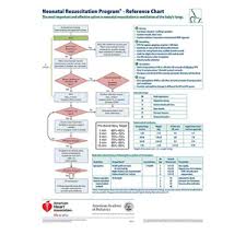Neonatal Resuscitation Program Wall Chart