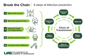 an infection prevention expert explains