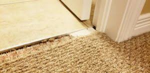 get your cat to stop scratching carpet