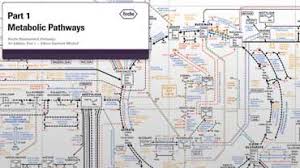 Roche Biochemical Pathways