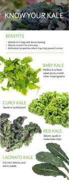 23 Best Types Of Kale Images Types Of Kale Kale