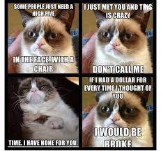 A subreddit for this actually exists? Funny Grumpy Cat Memes Grumpy Cat Meme Grumpy Cat