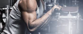 bigger arms 13 best arm exercises