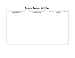 Blank Flow Chart Worksheet Digestive System Kwl