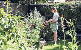 30 Top Tips Every Beginner Gardener