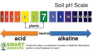 Ph Chart Soil Glendance