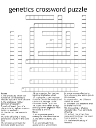 genetics crossword puzzle wordmint