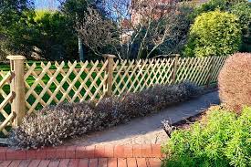 Decorative Fence Panels Jacksons Fencing