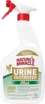 11 best carpet cleaners for dog urine