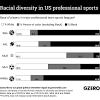 Cultural or racial diversity in proffesional sports