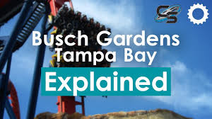 busch gardens ta bay explained