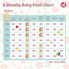 Baby Food Chart From 7 To 9 Months Food Chart For Infants In