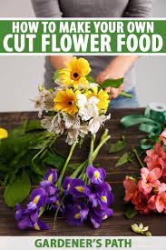 fresh cut flower food