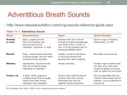 Adventitious Breath Sounds Chart Related Keywords