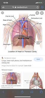 Heart attack or something else? Is Your Heart Under Your Third Rib Heart Picture Image On Medicinenet Com Ribs Act Like A Cage Of Bones Around Your Chest Aneka Ikan Hias