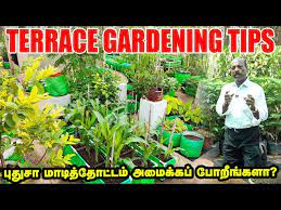 Terrace Gardening Tips In Tamil