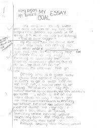 My Goal Essay Magdalene Project Org