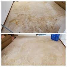 dirt doctor carpet cleaning updated