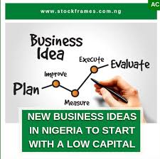 14 business ideas in nigeria you