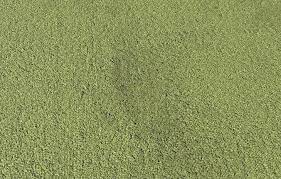 texture green carpet pbr texture vr