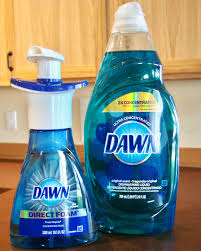 how to make foaming dish soap little