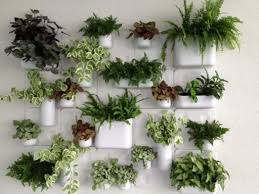 A plant wall is an easy way to add charm to any room and get the clean air benefits as well! Pin By Carrie C On Beautifulness Indoor Plant Wall Inside Garden Vertical Garden Indoor