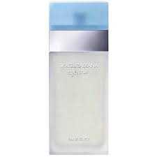 Dolce Gabbana Light Blue Eau De Toilette Spray Perfume For Women 3 3 Oz