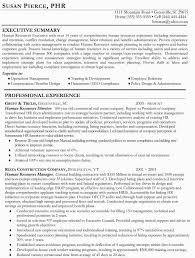 Executive Classic Format Resume Template Best Business Template