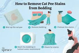 how to get cat stains out of bedding