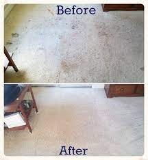reno carpet cleaner 3 areas 140 5