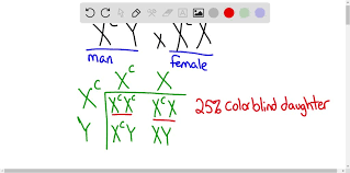 red green color blindness is inherited